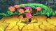 Diddy Kong Mod Pack Skin screenshot