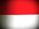 Indonesian Flag Skin screenshot