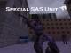 Special SAS Unit Skin screenshot