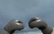The Mann's Boxing Gauntlets Skin screenshot