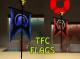 TFC Flag Skin screenshot
