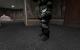 Opposing force inspired SAS Skin screenshot