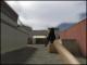 CS:GO Styled M9 Bayonet Skin screenshot