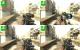 CoD4 weapons for cs:s Skin screenshot