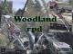 Woodland rpd skin Skin screenshot
