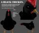 Black Chicken Skin screenshot