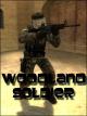 Woodland Soldier Skin screenshot