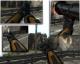 teh snake's hl2 arm retextured Skin screenshot