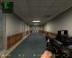 Point Blank SG550 Skin screenshot