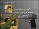 Wannabe's Deagle Silver +Cz Arms Skin screenshot