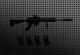 SR25 Rifle Skin screenshot