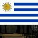 Uruguaian Buff Banner Skin screenshot