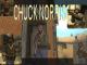 Chuck Norris Skin screenshot
