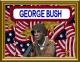 George Bush Skin screenshot