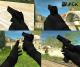 Default Deagle 7 color options Skin screenshot