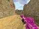 M4A1 ROYAL PINK Skin screenshot