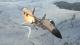 MiG-29A Fulcrum: Luftwaffe Skin screenshot