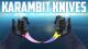 CS:GO Karambit Skins Skin screenshot