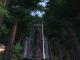 UL: TGF: Ancient Redwoods Skin screenshot