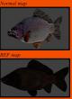 Salmon fish for goldfish Skin screenshot