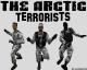 The Arctic Terrorists pack Skin screenshot