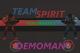 Team Spirit Demoman Skin screenshot
