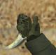 CS:GO Karambit Pack to CS 1.6 Skin screenshot