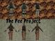 The PEE Project Payerpack Skin screenshot