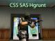 CSS SAS Hgrunt / HECU Grunt Playerskin Skin screenshot
