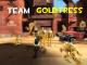 Team Goldtress Skin screenshot