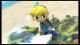 Hyrule Warriors Legends Toon Link Skin Pack Skin screenshot