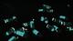 Animated Glowing Bile Bombs - 4 versions Skin screenshot