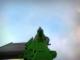 Green FG42 Skin screenshot