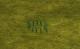 Green Tiger Manchu Infantry pack Skin screenshot