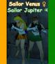 Sailor Venus & Sailor Jupiter Skin screenshot