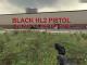 Black HL2 Pistol Skin screenshot