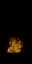 flamus.spr frame 10