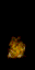 flamus.spr frame 11