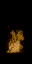 flamus.spr frame 15