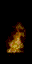 flamus.spr frame 17