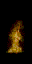 flamus.spr frame 21