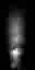 xssmke1_fix.spr frame 14