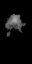 xsmoke4.spr frame 8