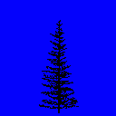pine1.spr Preview
