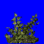 buzz_kt_trava2.spr frame 0