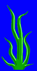 kk_bush2.spr Preview