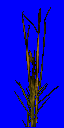 ikgrass1.spr frame 0