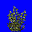 hleb_trava3.spr Preview