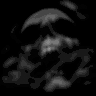 skull.spr frame 8