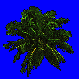 palmtree2.spr Preview